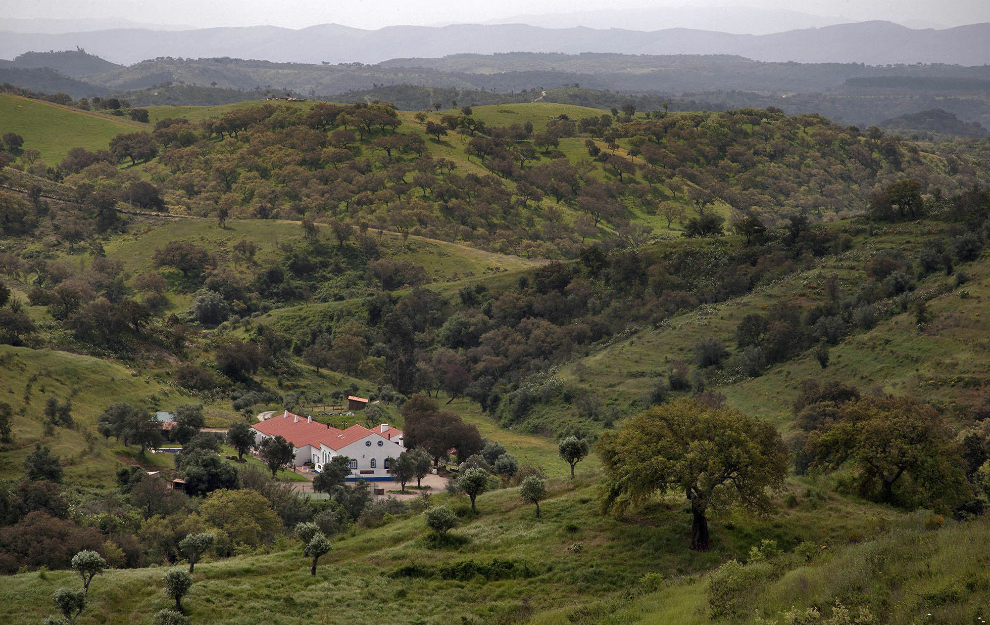 Quinta Do Chocalhinho Agroturismo & Spa Οντεμίρα Εξωτερικό φωτογραφία